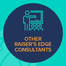 There are a variety of Raiser's Edge training consultants with different areas of expertise.