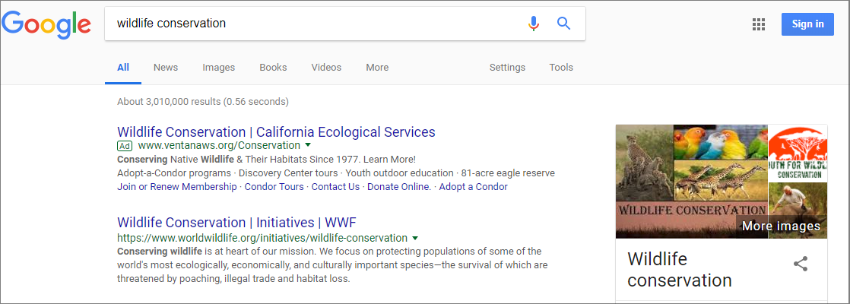 In this example, an organization uses Google AdWords to promote wildlife conservation education.