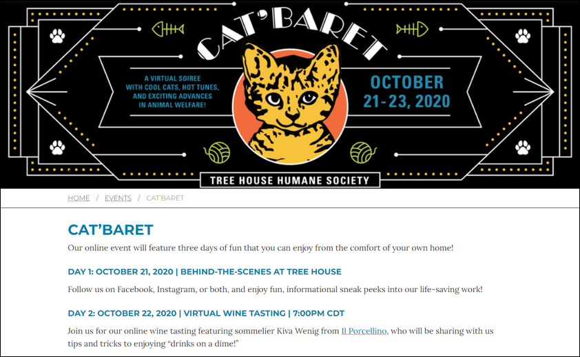 Top nonprofit websites should also tap into the power of virtual events with dedicated pages to explain and promote them.