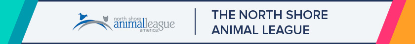 The North Shore Animal League is a great example of strong nonprofit storytelling.