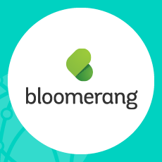 The sixth solution on our nonprofit CRM comparison is Bloomerang.