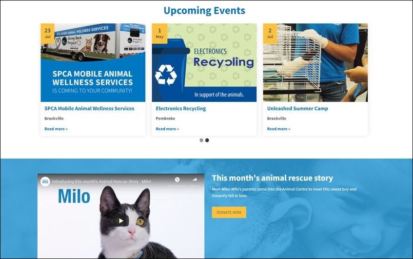 Embedded multimedia and engaging calendars make the Ontario SPCA one of the best nonprofit websites for engaging supporters.