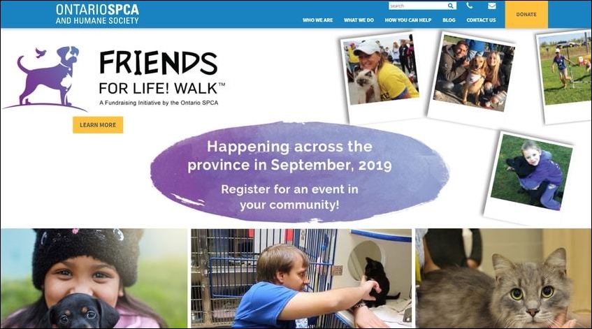 The Ontario SPCA has one of the best nonprofit websites because it prioritizes engagement at every opportunity.