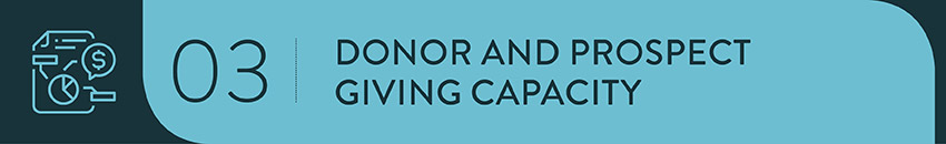 Determine a donor's capacity for giving to develop an understanding for how much they're able (and likely) to give to your nonprofit.