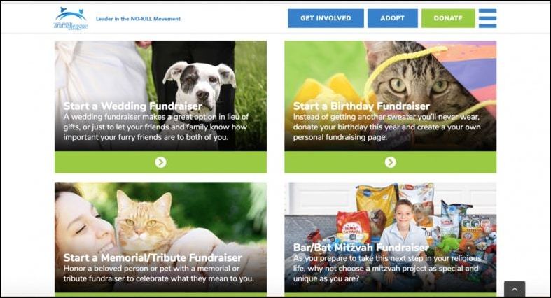 TeamDNL's work for the North Shore Animal League is a great example of how Luminate Online consulting can simplify your toolkits.