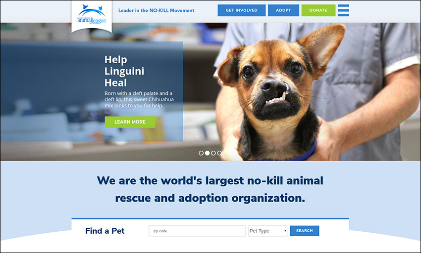 The North Shore Animal League's homepage draws visitors in as soon as they land, an important element for a top nonprofit site!