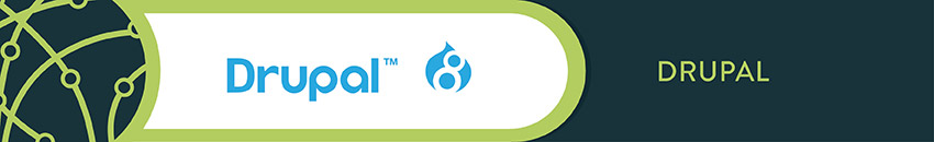 Drupal is the top nonprofit technology solution for website building.