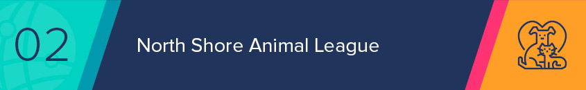 The North Shore Animal League showcases a top nonprofit website thanks to their high-quality visuals and unique donation pages.